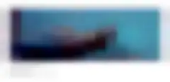 21 2